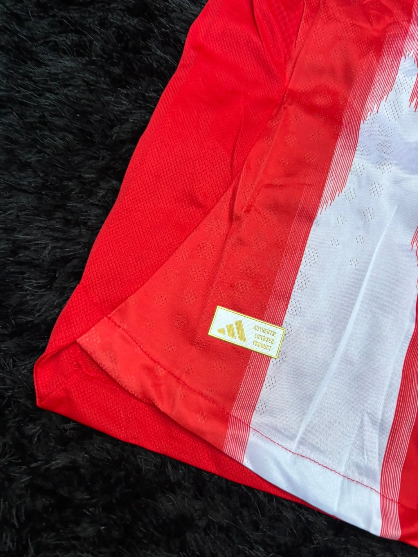 BAYERN HOME KIT 25/26 UCL VERSION