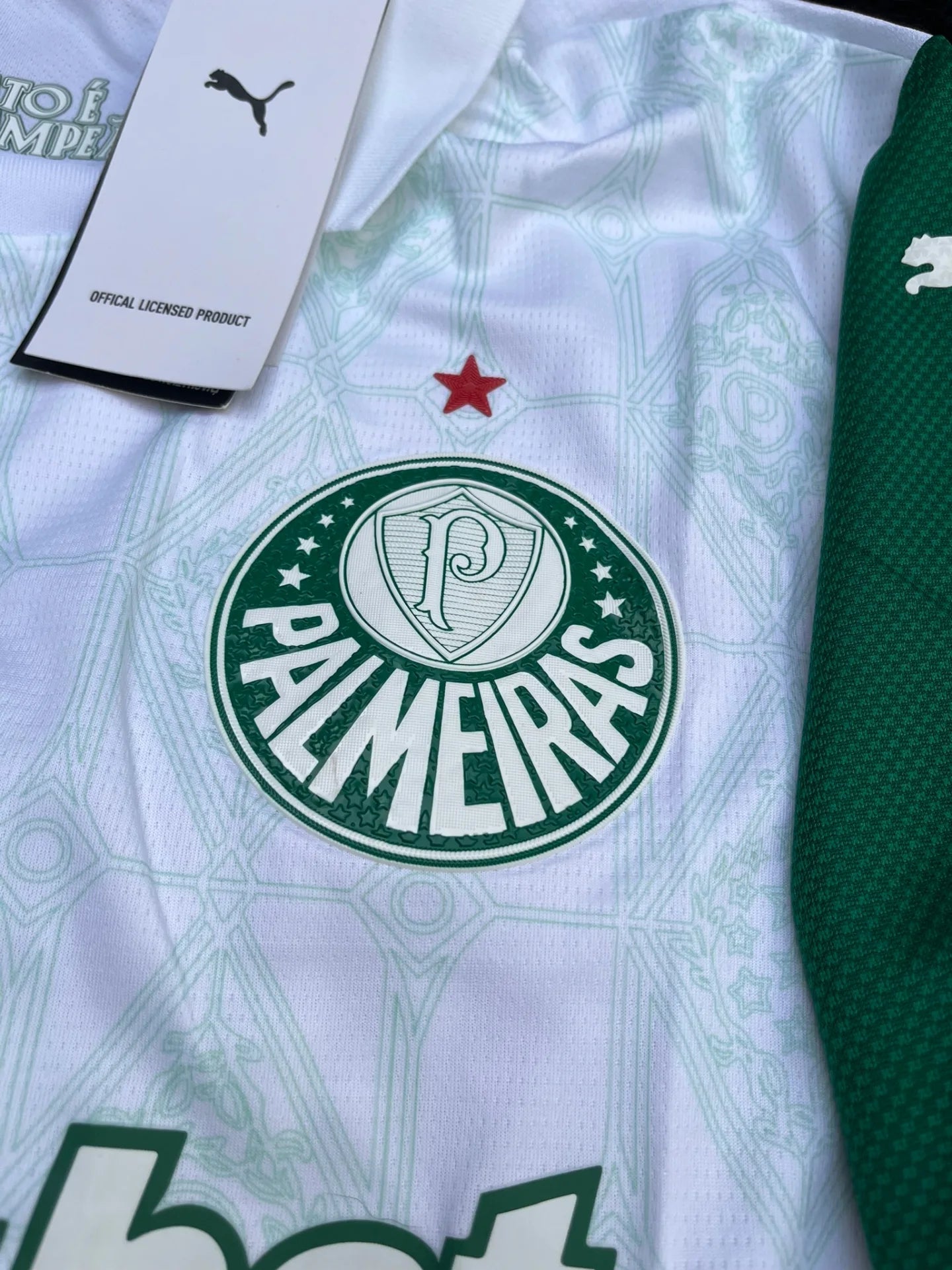 PALMEIRAS AWAY KIT 25/26 WORLD CUP CLUBS VERSION