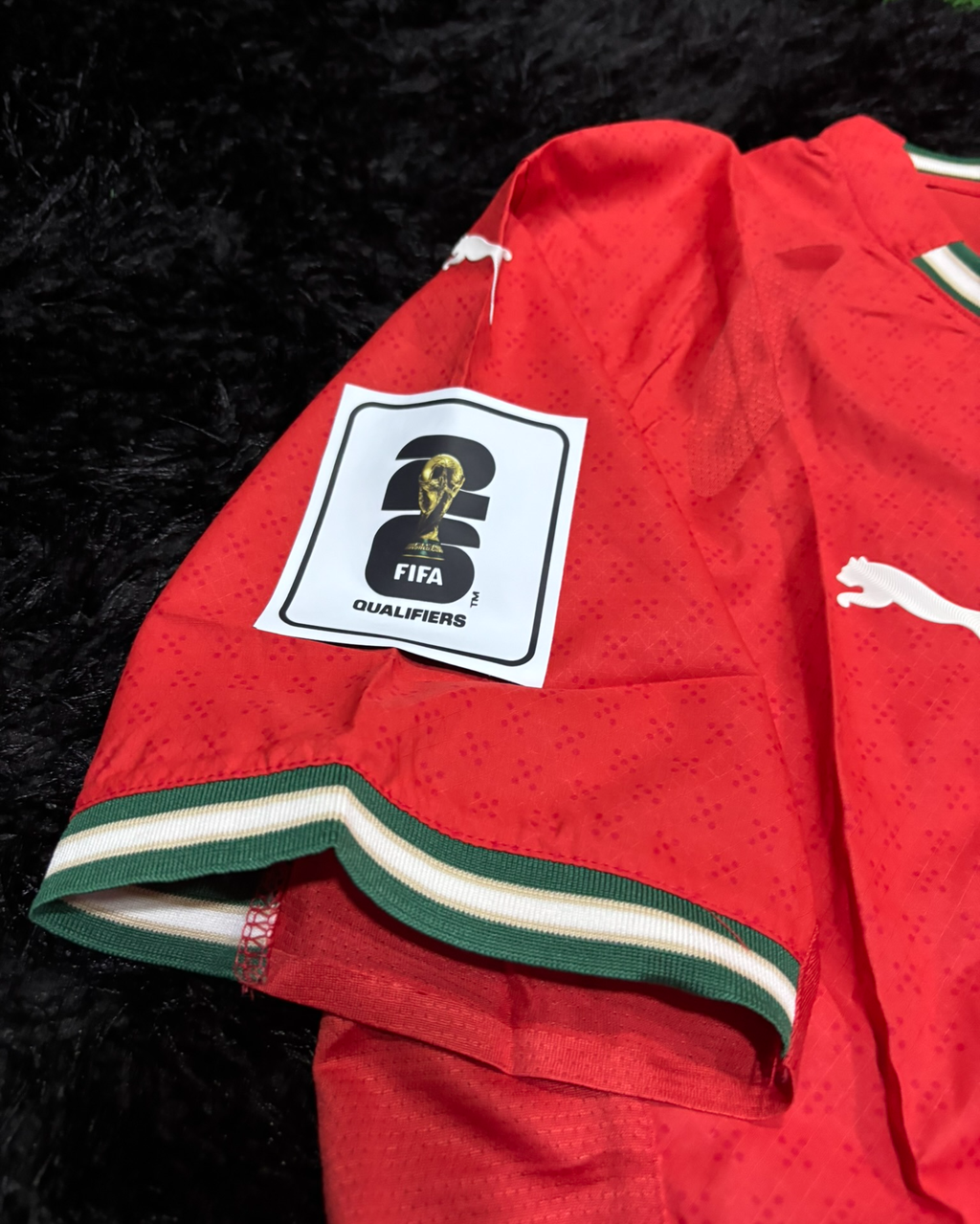 FULL KIT OF PORTUGAL WORLD CUP QUALIFICATION VERSION