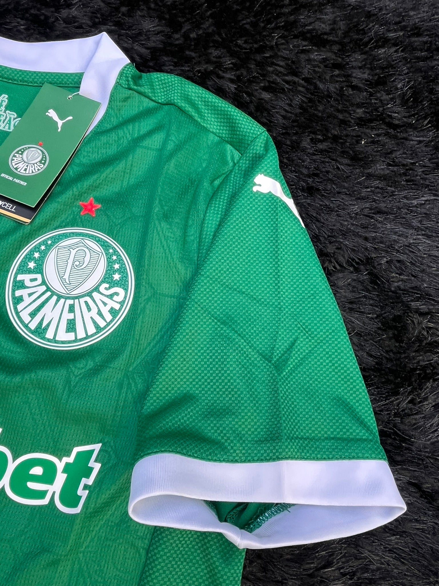 PALMEIRAS HOME KIT 25/26 WORLD CUP CLUBS VERSION